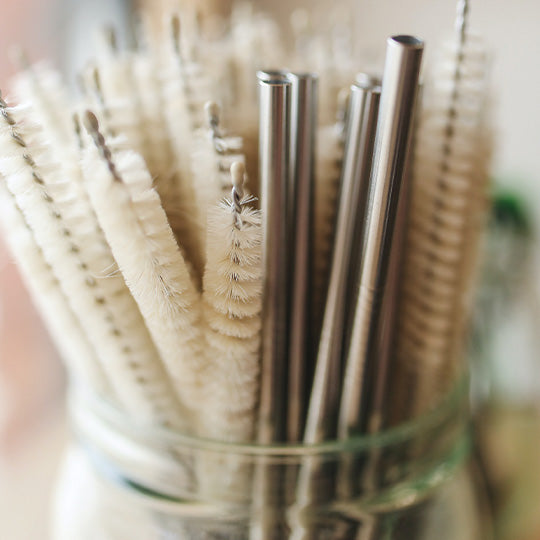 Stainless Steel Straws: Brush Required!