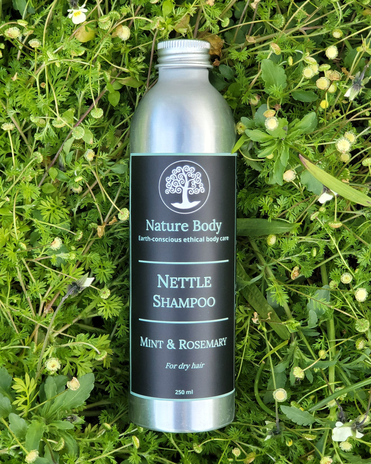 Nettle Shampoo | Nature Body